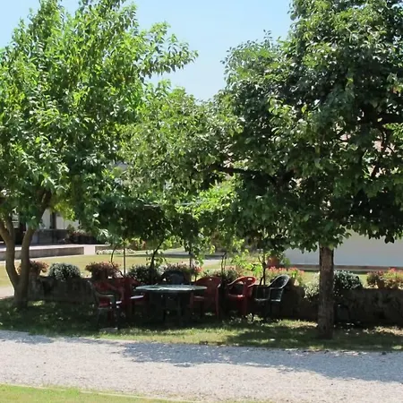 卡弗洛里安 特雷维索