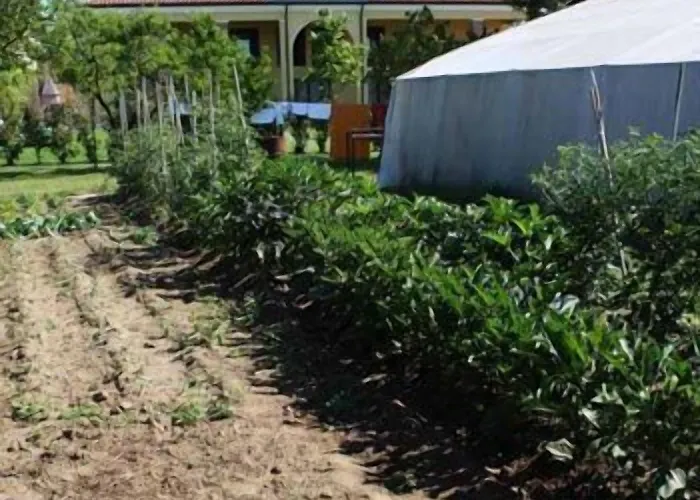 Ca Florian Séjour à la ferme *